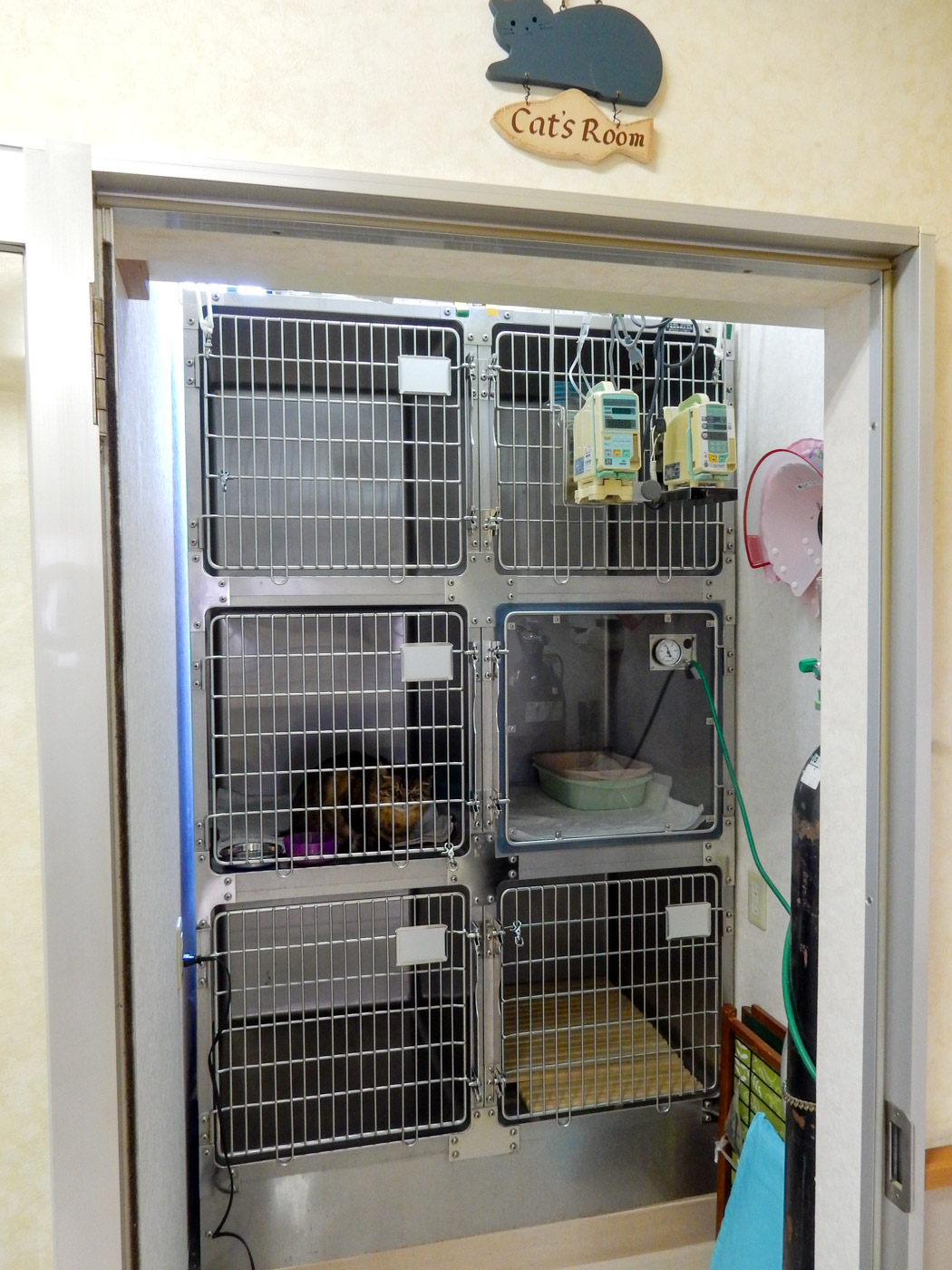 猫用入院室